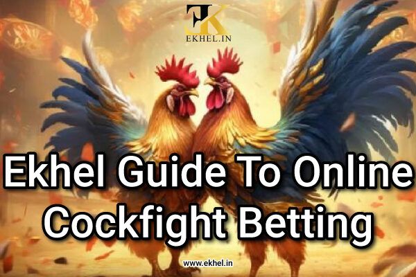 online cockfighting site