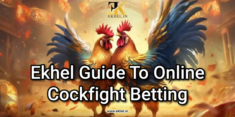 online cockfighting site