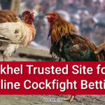 Trusted Site for Online-Cockfight Betting