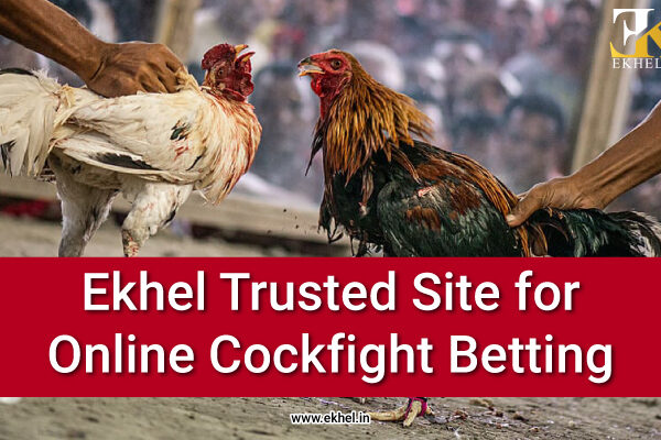 Trusted Site for Online-Cockfight Betting