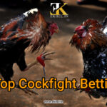 Ekhel top cockfighting site in India