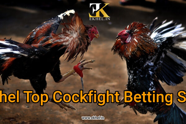 Ekhel top cockfighting site in India